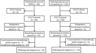 Differential diagnostic value of tumor markers and <mark class="highlighted">contrast-enhanced computed tomography</mark> in gastric hepatoid adenocarcinoma and gastric adenocarcinoma